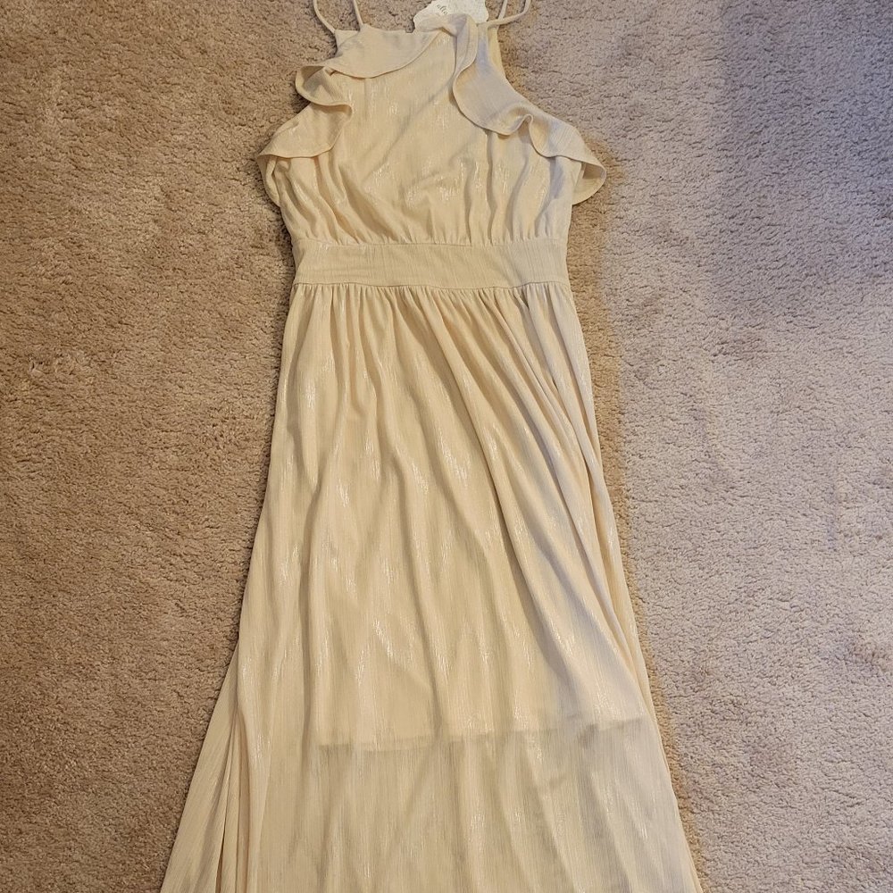 Altar'd State maxi dress